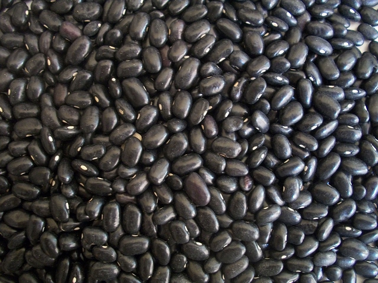 Black beans - health properties